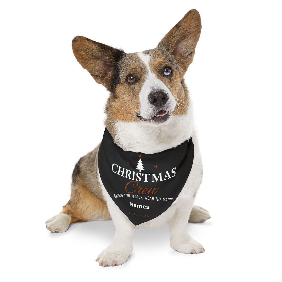 Christmas Crew Pet Bandana Collar