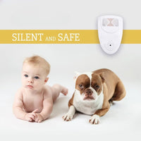Ultrasonic Mice Repellent Eliminates Mice In 48 Hours Or It's Free