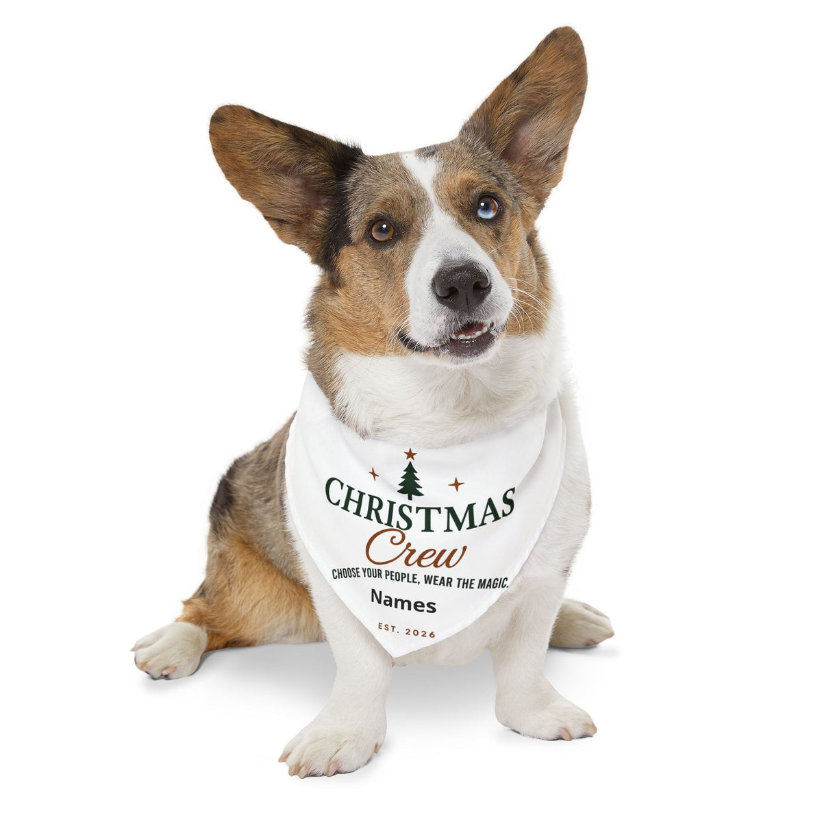 Christmas Crew Pet Bandana Collar | Personalized Holiday Dog Scarf | Custom Christmas Dog Bandana | Family Name Pet Bandana