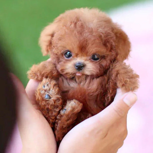 Interactive Robot Puppy Toy Realistic Lifelike Companion For Kids