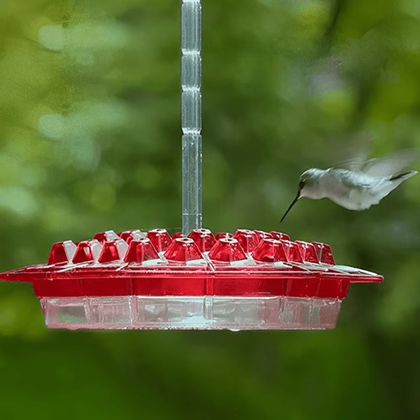 Hummingbird Feeder With Built In Ant Moat And Easy Clean Reservoir